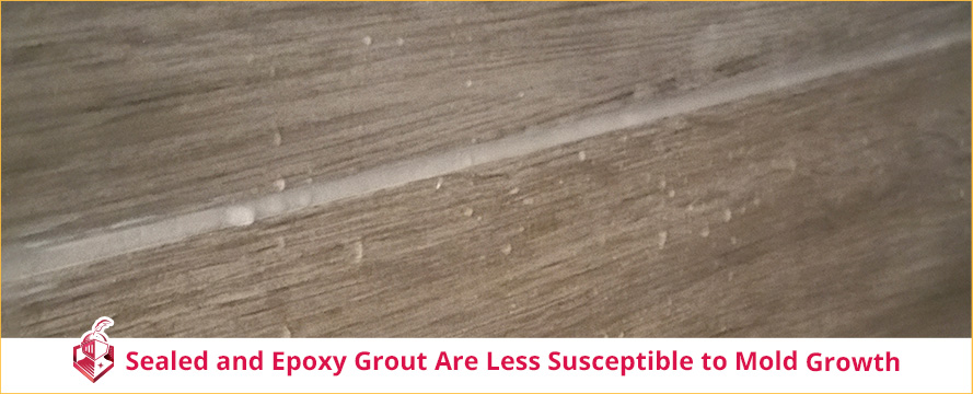 Sealed and Epoxy Grout Are Less Susceptible to Mold Growth