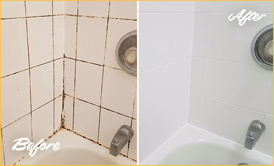 Before and After Picture of a Flushing Shower Tile and Grout Cleaned to Eliminate Mold